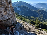 Vergrößern / Details: Triglav